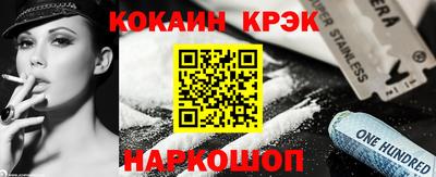 стафф Кингисепп