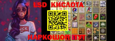 стафф Кингисепп