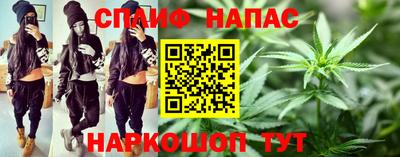 стафф Кингисепп