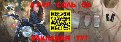 стафф Кингисепп